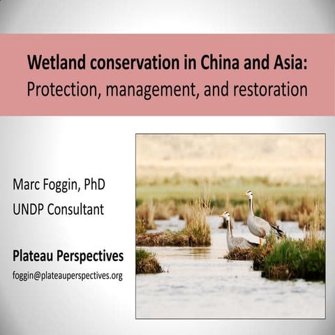 Wetland conservation in China