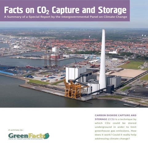 Scientific Facts on CO2 Capture and Storage