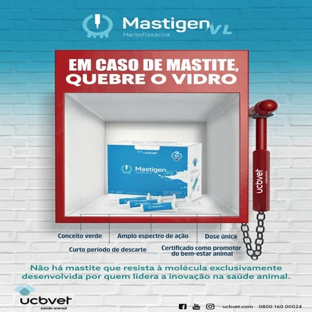 Abordagem inovadora no tratamento das mastites
