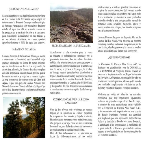 Folleto Programa Irritila (Formato de Impresion)