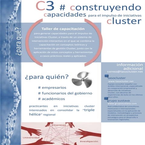 Capacitación Construyendo Capacidades Impulso Iniciativas Cluster