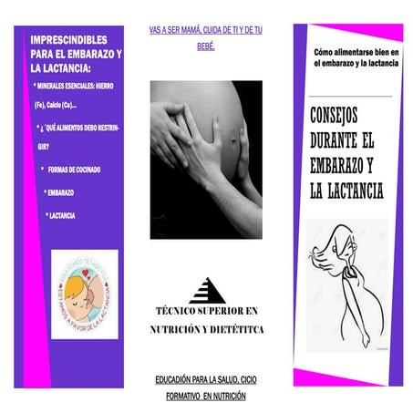 Folleto: "Alimentación en el embarazo"