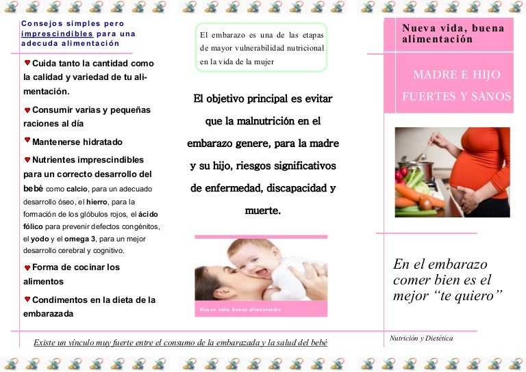 dieta para embarazadas dia a dia