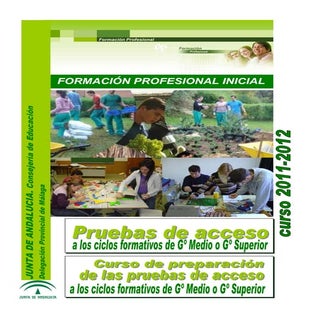 Folleto pruebaycurso fp