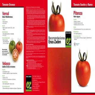 Tomates para ganar - Enza Zaden