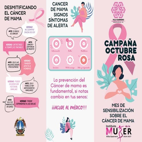 Folleto Tríptico Campaña Octubre Rosa Cáncer de Mama Ilustrado Femenino ...