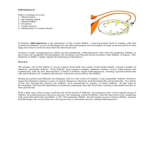 Folliculogenesis