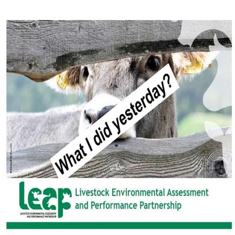 Follow-up of the WSRR 2015. Priority of action: Global Management of Soil Org...