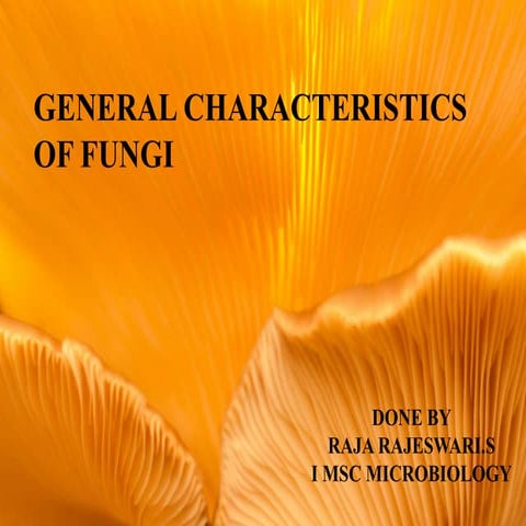 General characteristics of fungi