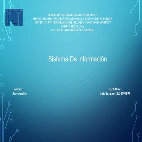 sistema de informacion 