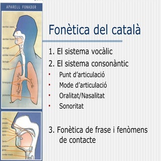 Fonètica Del Català
