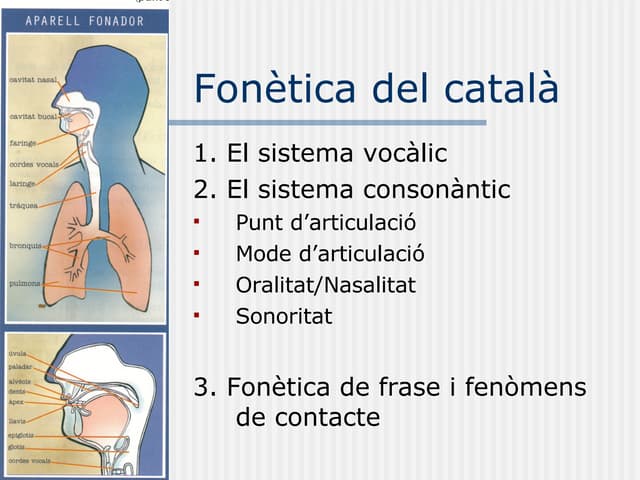 0011a alfabet fonètic català | PDF
