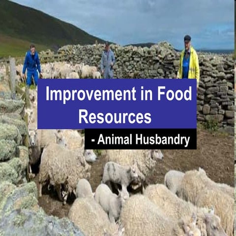 Improvement in food resources