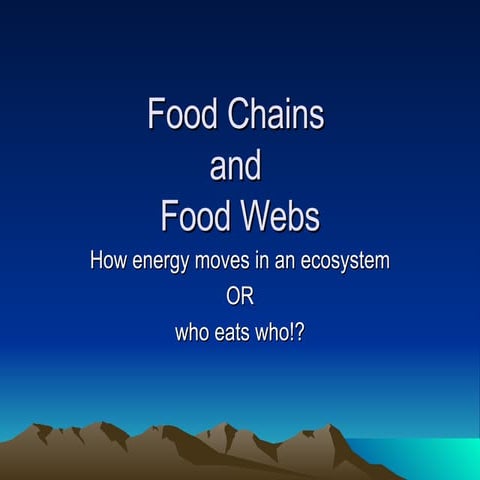 Food Chains And Food Webs