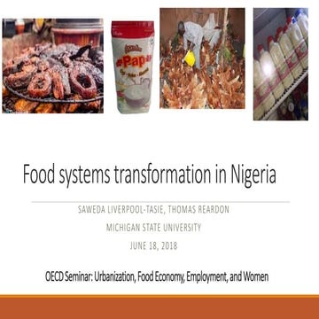 Food systems transformation in Nigeria