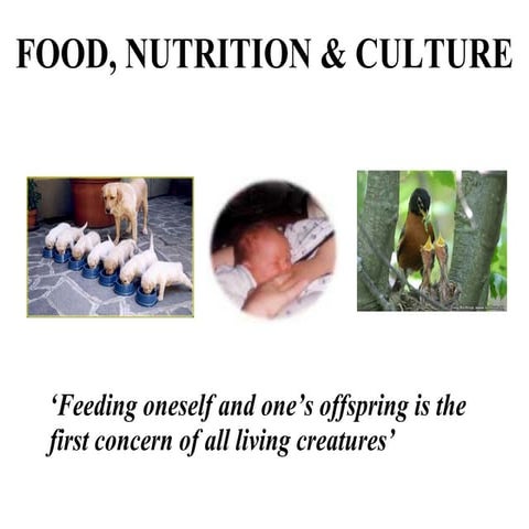 Food nutrition