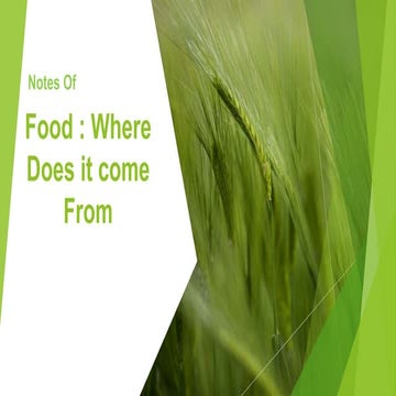 Food -  where does it come from
