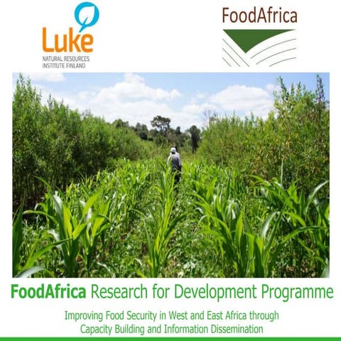 FoodAfrica Research for Development Programme