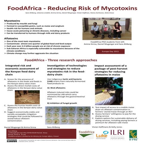 FoodAfrica – Reducing risk of mycotoxins
