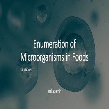 Food Analysis_preparation 20.6.2025.pptx