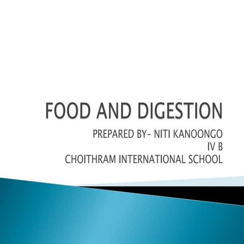 Food and digestion - grade 4