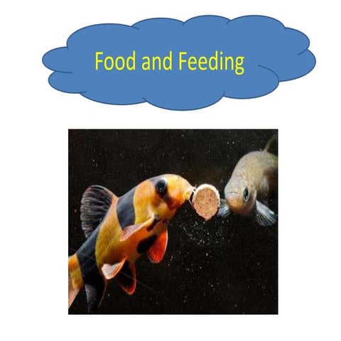 Food and feeding