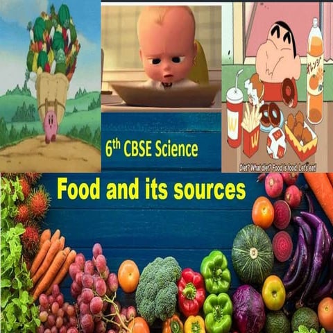FOOD AND ITS SOURCES