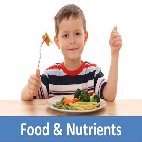 Food And Nutrients