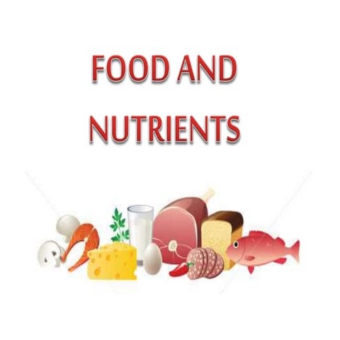 Food and nutrients