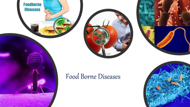 Food borne diseases | PPTX