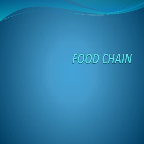 Food chain