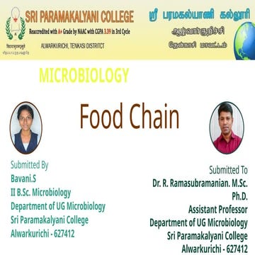 Environmental science - Food Chain.pptx.