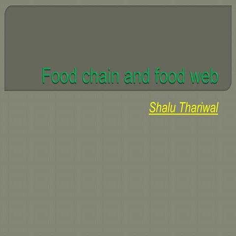 Food chain and food web