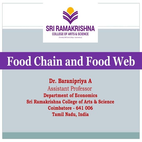 Food Chain and Food Web Power Point Presentation