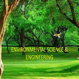 Food chain,food web, forest ecosystem