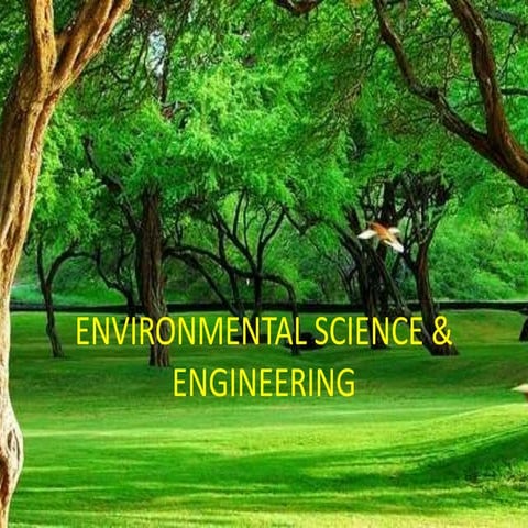 Food chain,food web, forest ecosystem