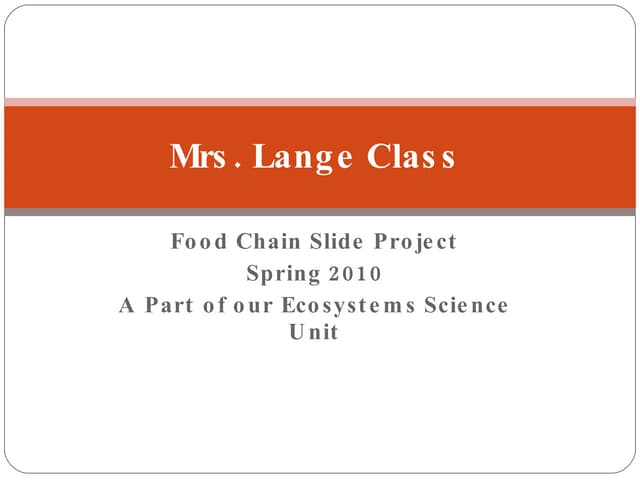 Food chain project 2010 final Biology Diagrams