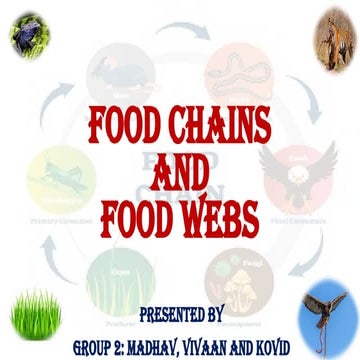 MADE BY 07 Food Chains and Food Webs.pptx