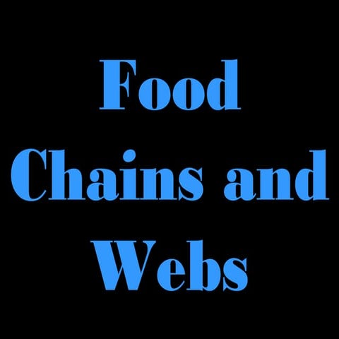Food chains and webs