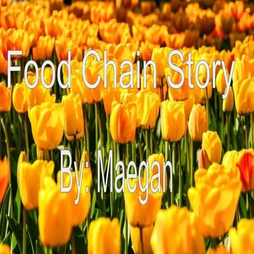 Food Chain Story