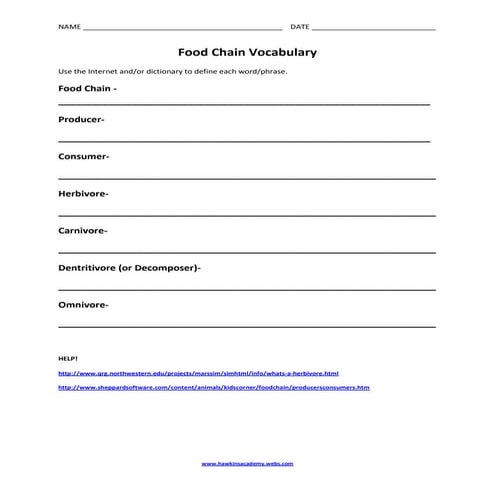 Food Chain vocabulary