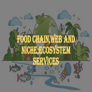 FOOD CHAIN,WEB AND NICHE .pptx