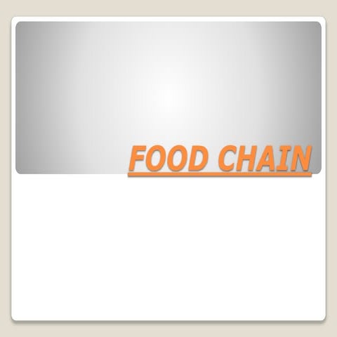 Food Chain By Zayed