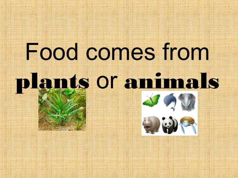 Food comes from plants or animals