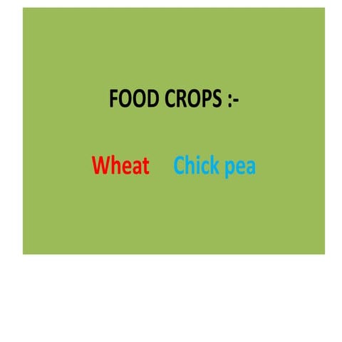 Food crops (wheat ,chick pea)