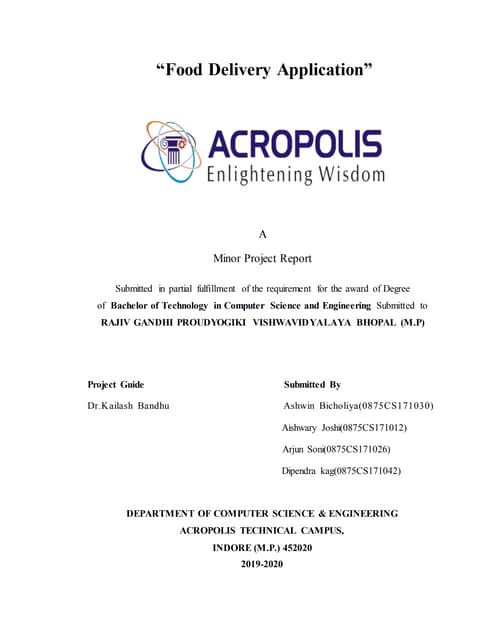 Food delivery application report