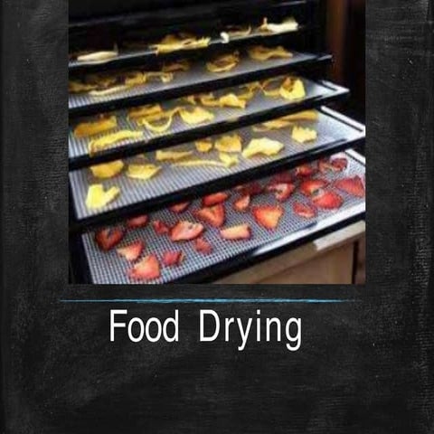 Processing Food Drying  in food technology