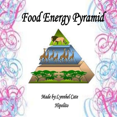 chmsc lab. school science 6 - food energy pyramid