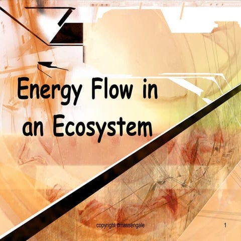 Food energy through ecosystems