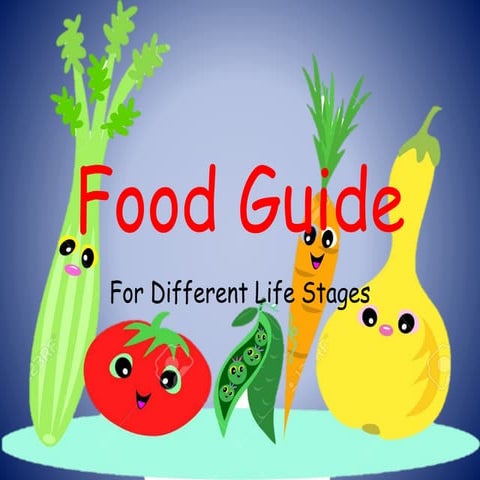 Food guide